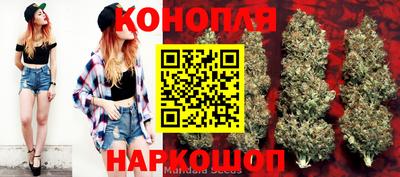 не бодяженный Кингисепп