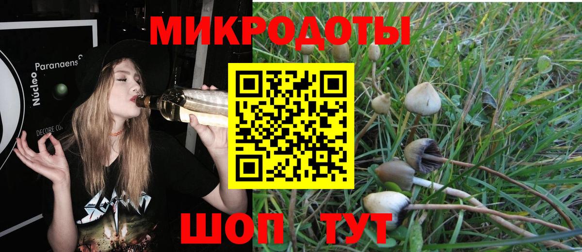 Псилоцибиновые грибы Psilocybe  Вход с VPN  Красноярск 