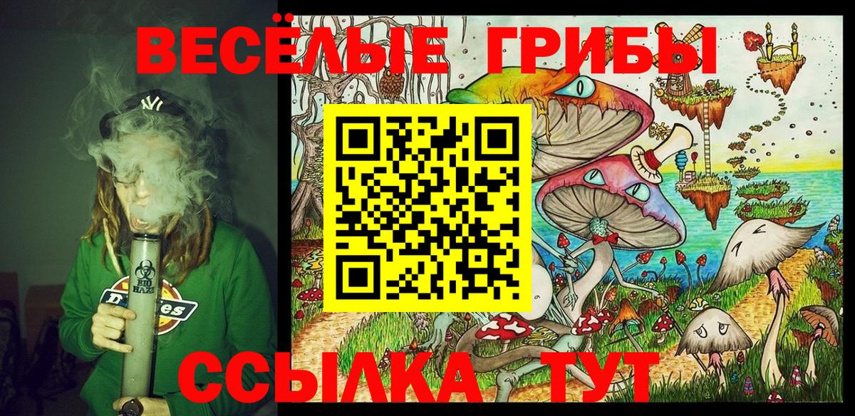 Псилоцибиновые грибы прущие грибы Красноярск